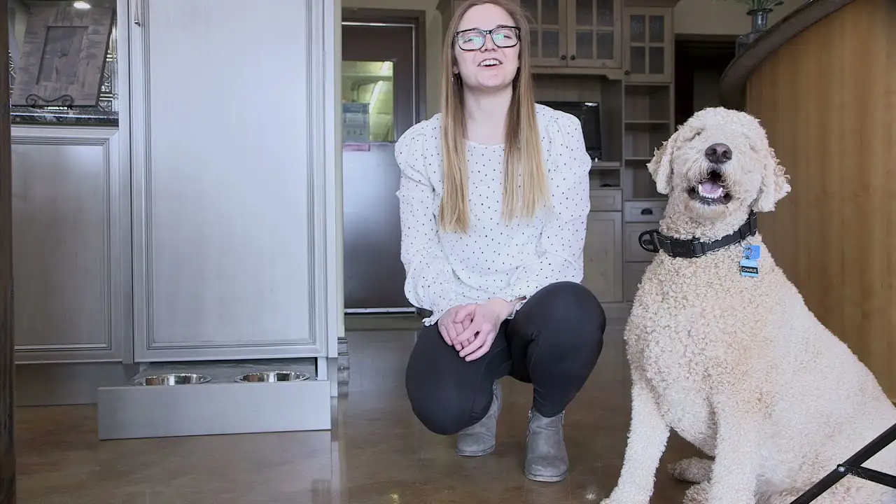 Woman kneeling beside a happy large curly-haired dog in a kitchen, with built-in pull-out pet food bowls visible under the cabinetry.